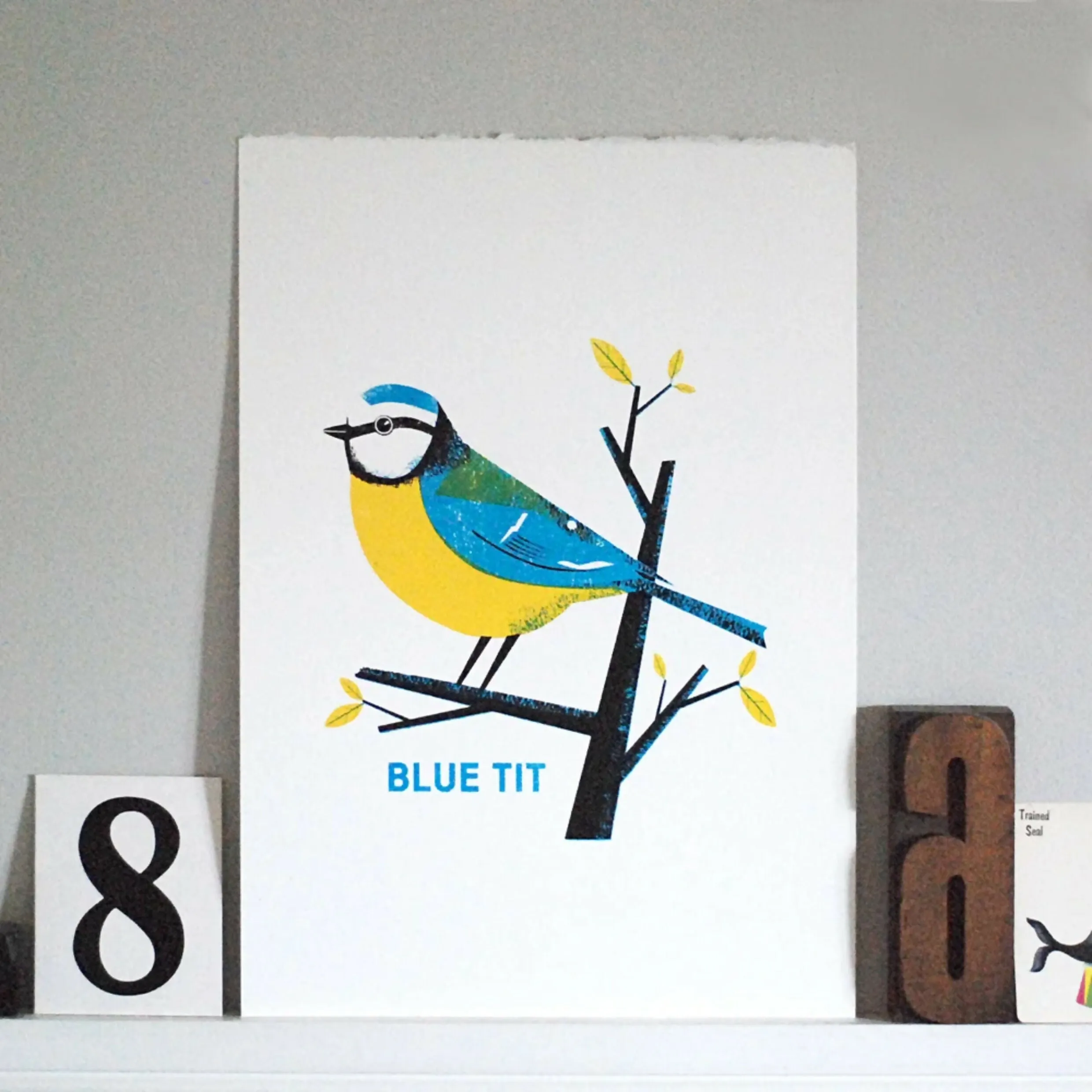 Blue Tit - Screen Print