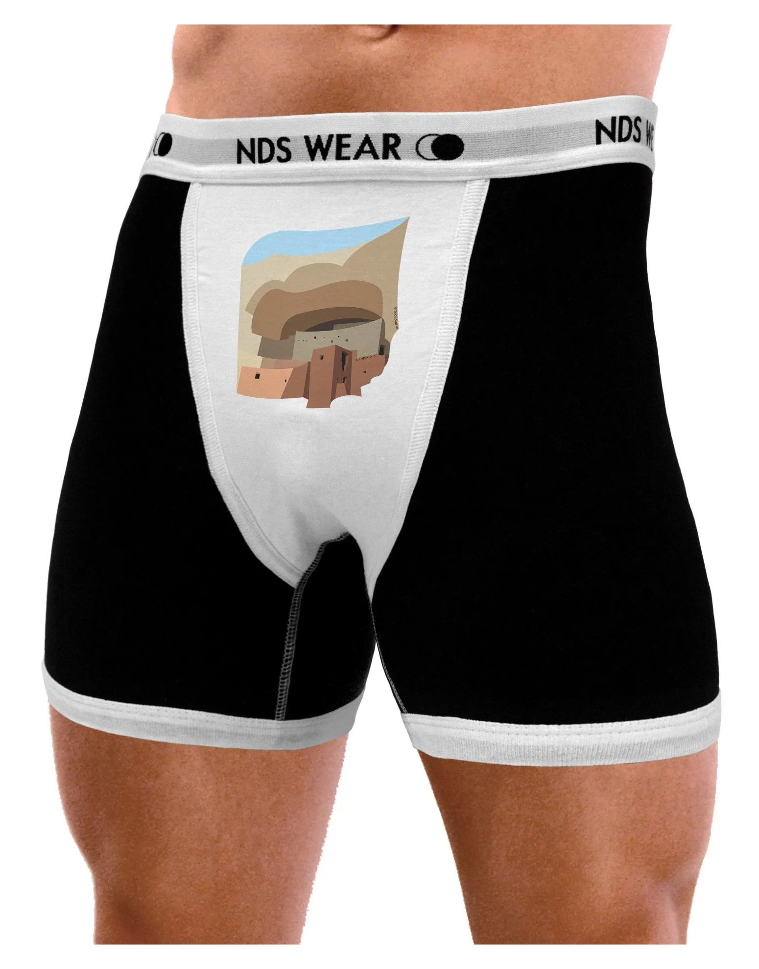 Montezuma Castle Artwork Mens Boxer Brief Underwear